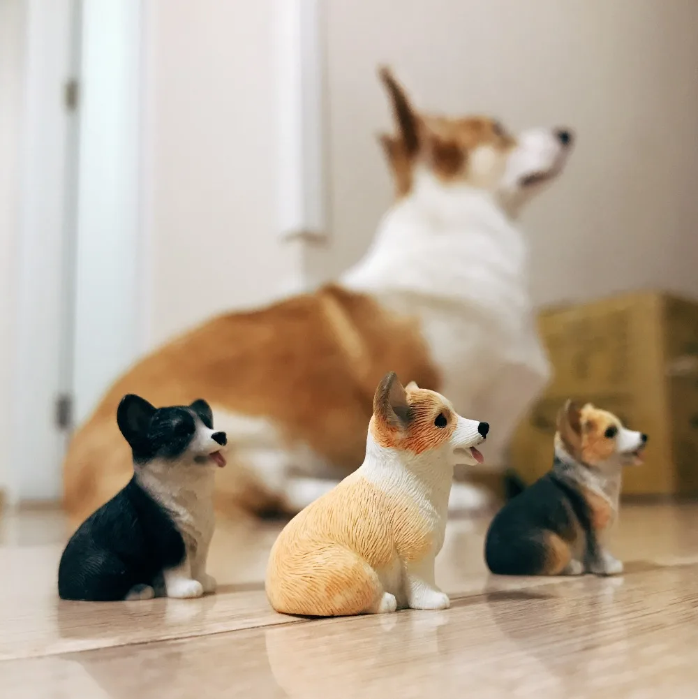 

Japanese original bulks healing mini little Pet super cute kawaii 3cm Corgi puppy Figures model Toys desktop decoration