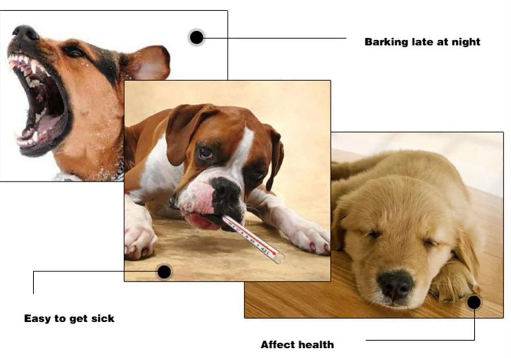 8013334967_1756254533