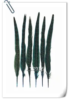 

100pcs/lot 30-35cm lake blue pheasant feathers real ringneck pheasant tail feather handmade feather headdress accessory