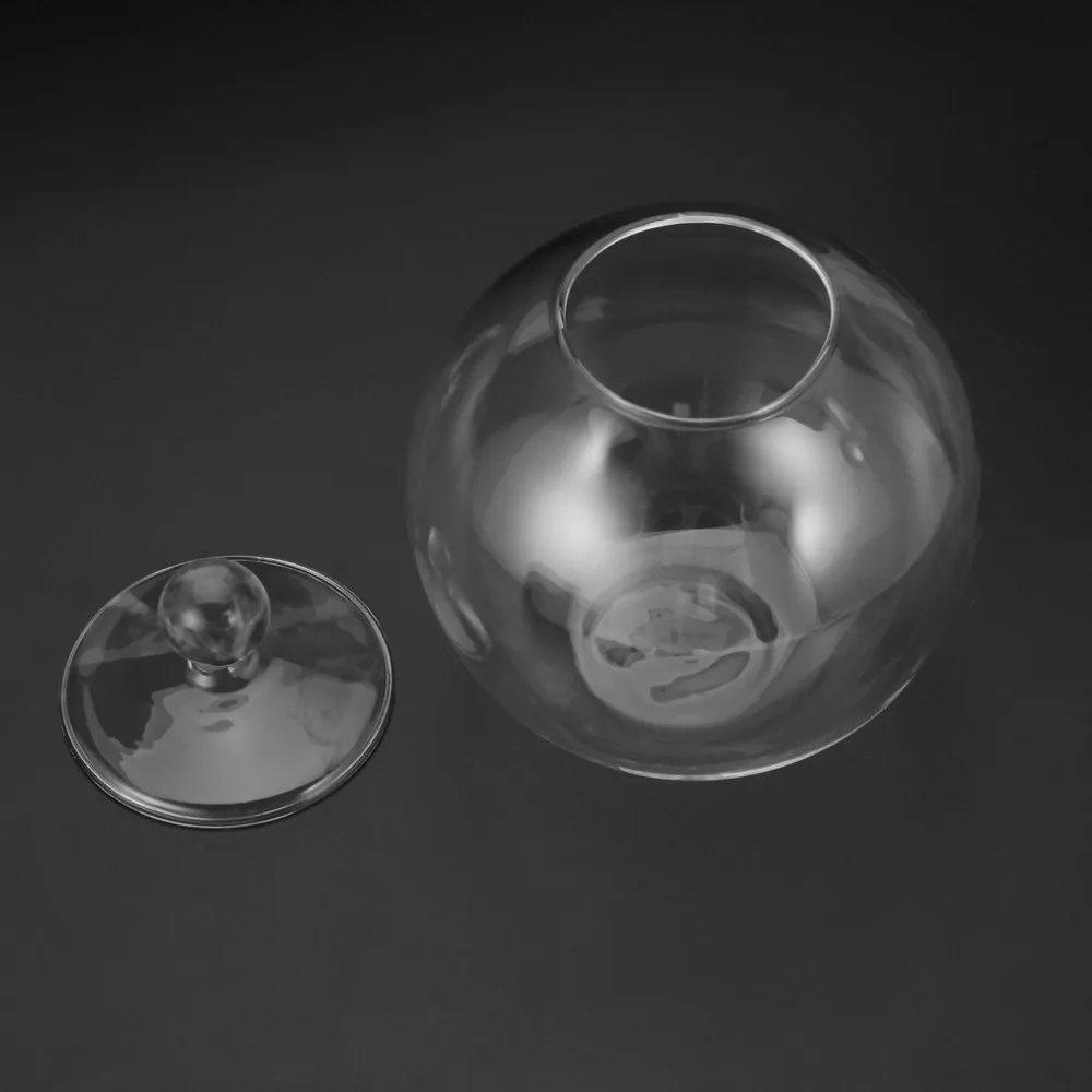 1 компл. Диаметр 10 см прозрачный микро мясистый бриофит пейзаж стеклянная ваза бутылка с крышкой домашний Свадебный декор ремесло подарки