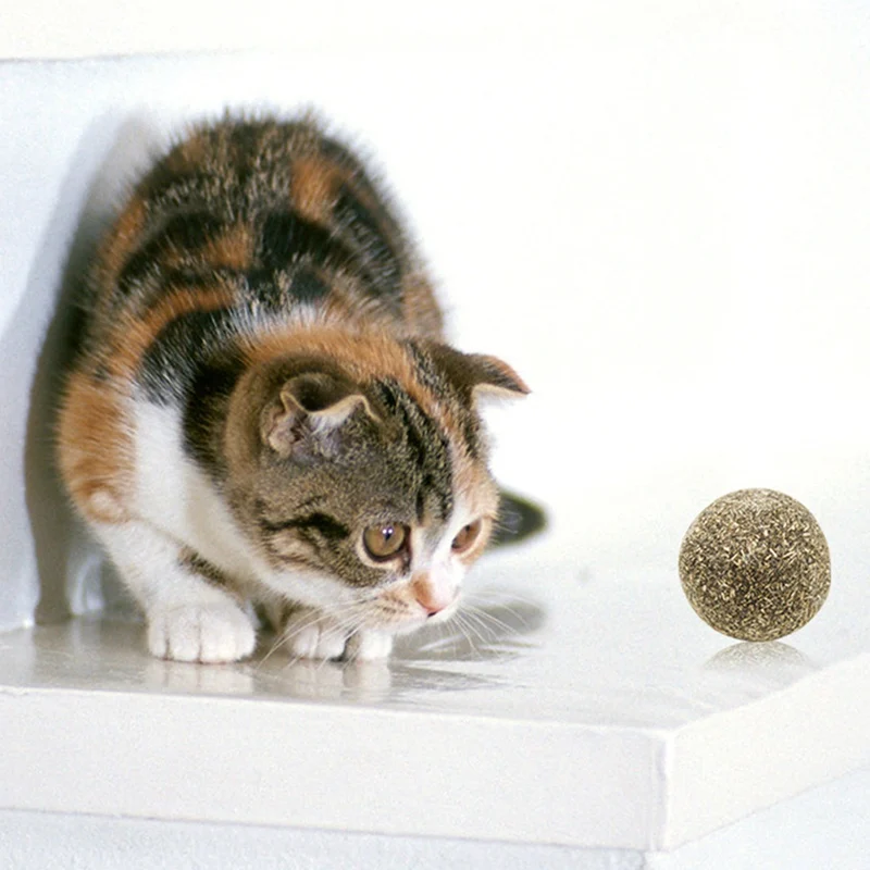 Pet Cat мяч для собаки игральные игрушки из кошачьей мяты игрушка 3 5 см диаметр Catnip