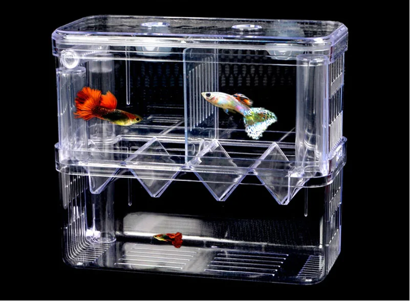 

2 room hatch box suspend aquarium arcylic guppy baby small fish separation breeding box auto flow