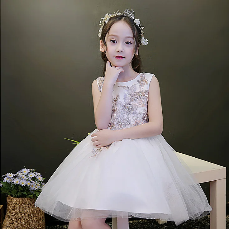 

3253 Embroidery Princess Costume Brithday Wedding Party Baby Girls Dress A-line Kids Dresses Wholesale Children Clothing 3P Lot