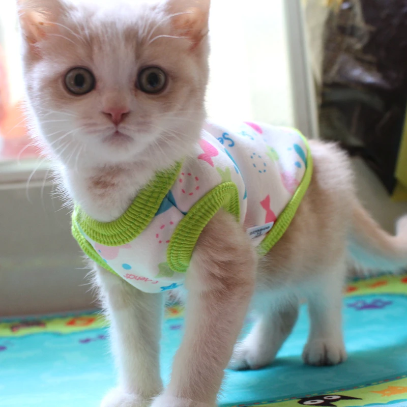 

[MPK Store] 2018 New Design Cat Hoodies, Cute Cat Vest in 3 Designs, Get all 3 Colors!