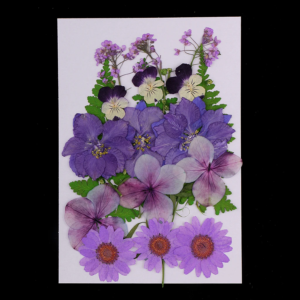 Multiple Mix Natural Pressed Dried Flowers Leaves Artificial Decorations for Greeting Card Making DIY Art Craft  2.5-3.5cm