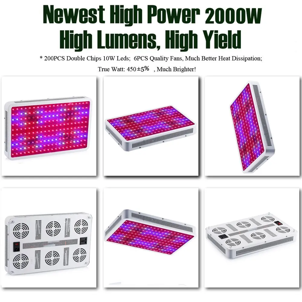20002