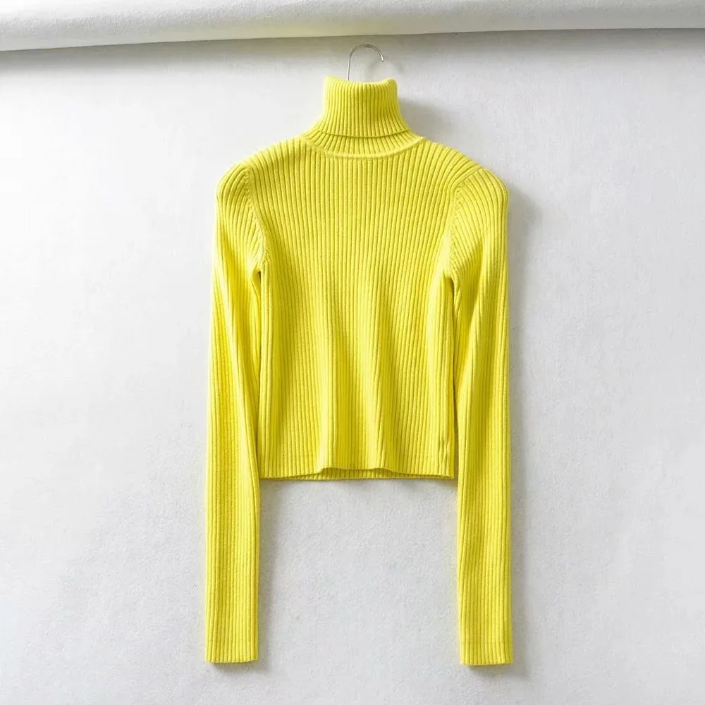 Long sleeved Womens Fall Sweaters turtle neck knitting thin Sweaters Pullovers korean chic casual basic Sweaters streetwear