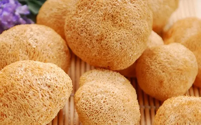 100-1000 г Hericium erinaceus, hericium erinaceum, голова медведя зубной гриб, гриб льва гриб, экстракт бородатого зуба
