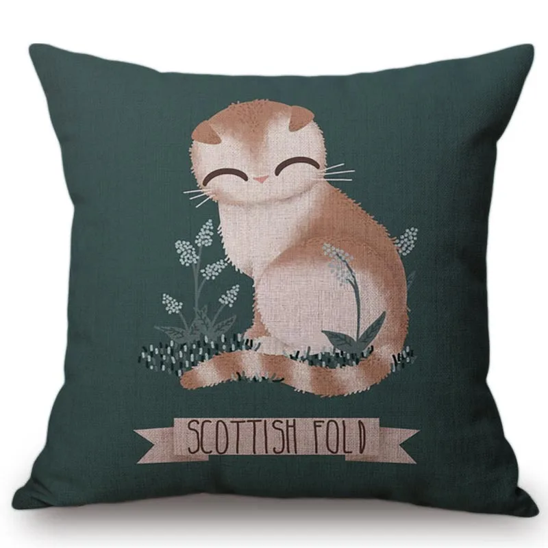 scottish-fold-cat-canvas 