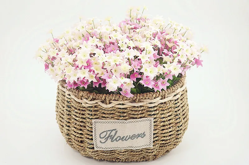 SAM_3644
