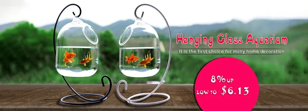 Hanging-Glass-Aquarium(1)