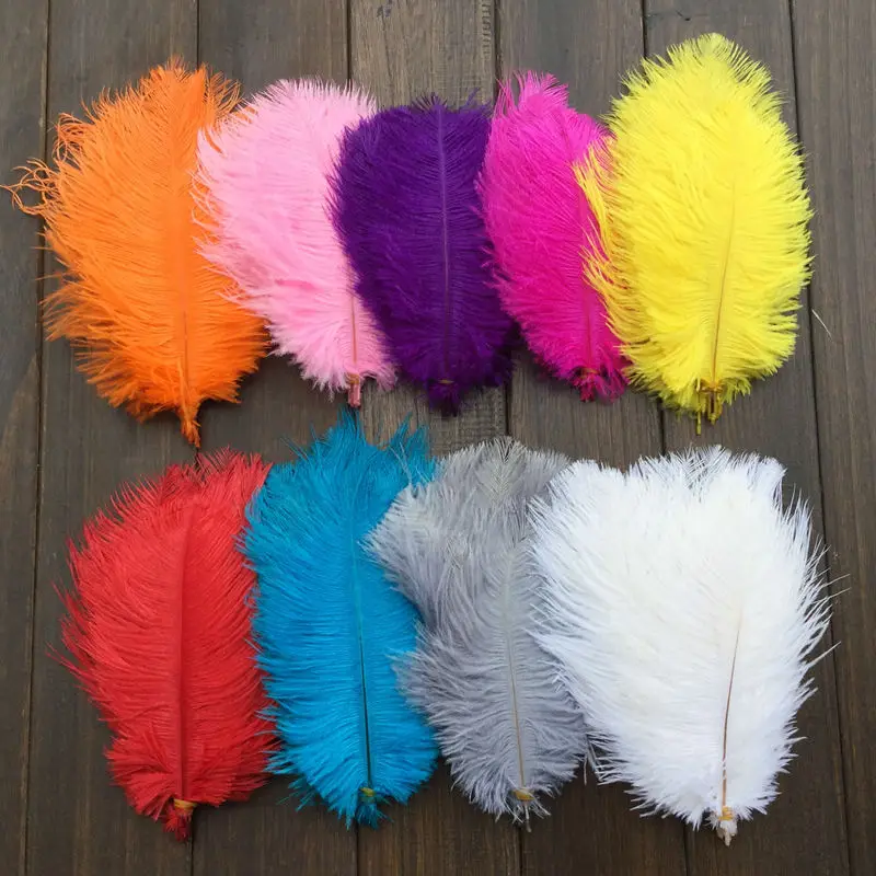 Ostrich feather15-20