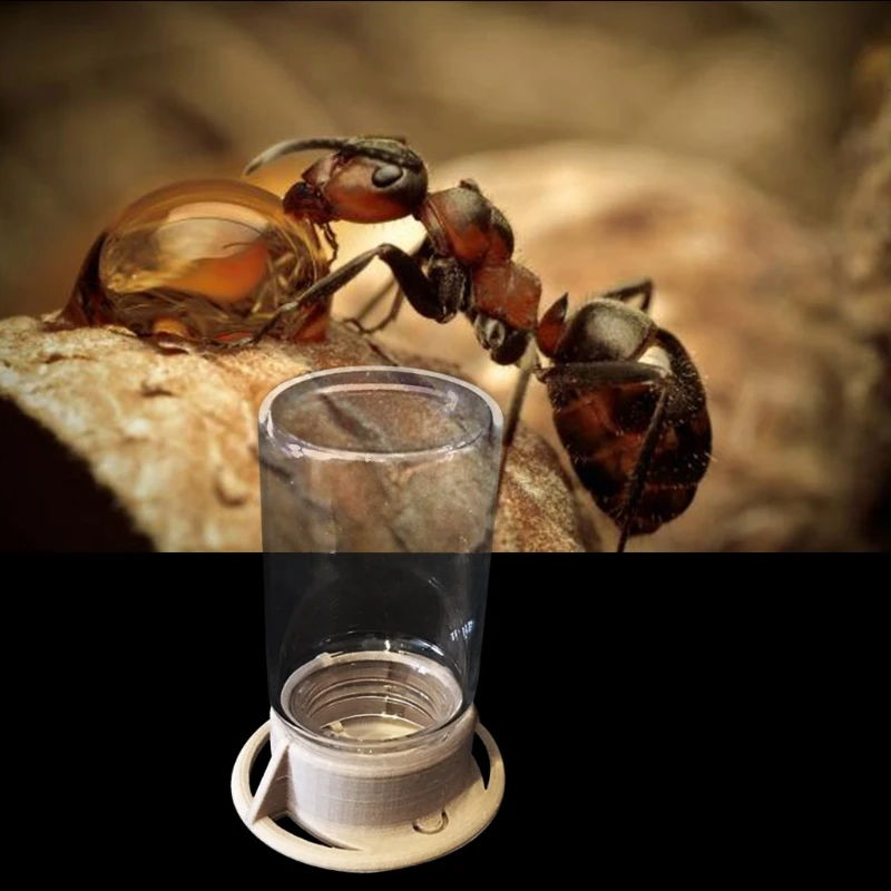 

Practical Ant Feeder Ant Farm Insect Nests House Water Erea Ant Feeding Bowl SD-JQ