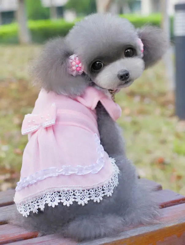D16 Sweety Summer Pet Dog dresses Pink Lace Pearl Princess Skirts for