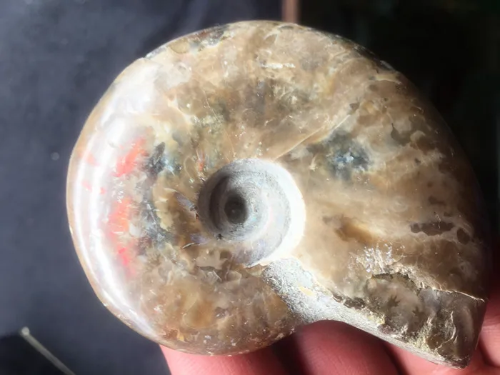 Натуральный кристалл кварца conch образцы курительная труба union
