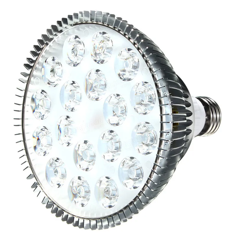 3835c8b9-6edc-408f-902f-74f48954cd25_
