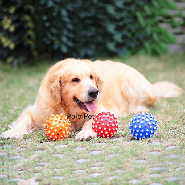 Free Shipping High Quality dog puppy toysin Dog Toys from Home