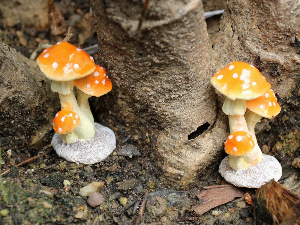 Резиновый гриб Toadstool ecoratical Dots растительные горшки волшебный сад-Террариум домашний аквариум DIY Рождественское украшение пейзаж капля