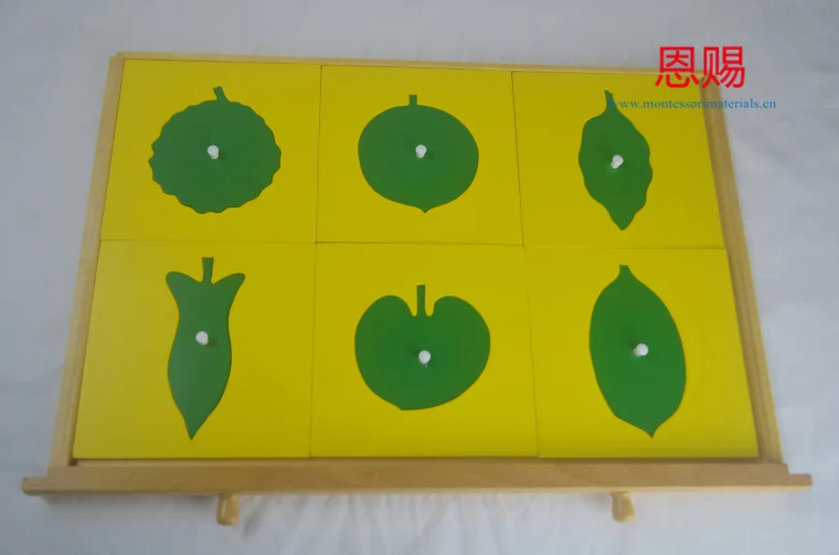 7027 leaf cabinet  (6)