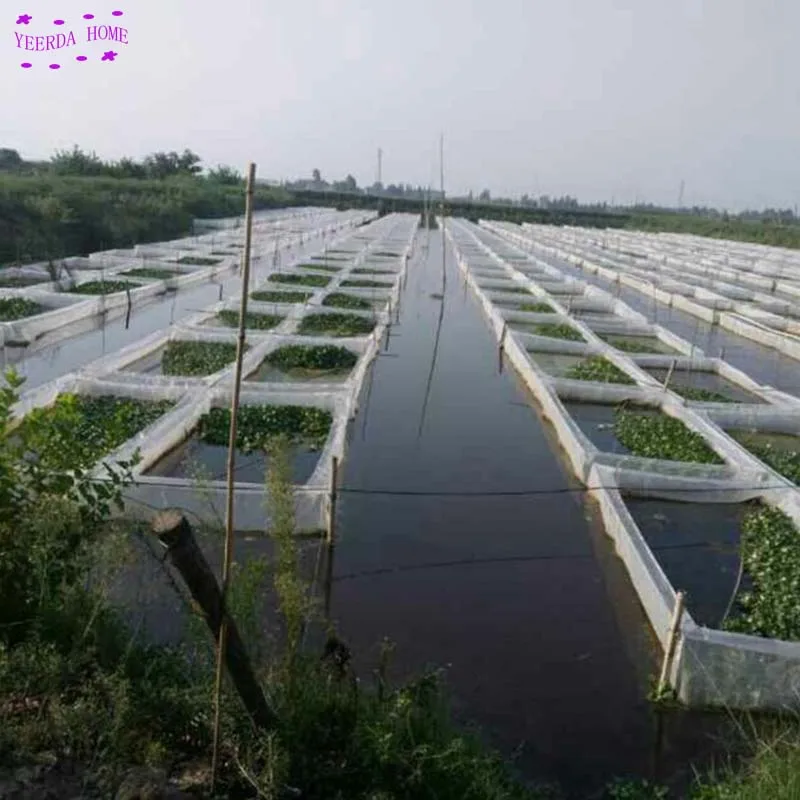 

2x1x1m 80Mesh Thicken Aquaculture grow Net Case Lobster Crab Monopterus Albus Anti-escape Breeding Net Customization Size