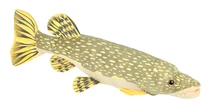 large 80cm simulation Pikes,Amur pikc fish plush toy, soft throw pillow toy birthday gift h2972