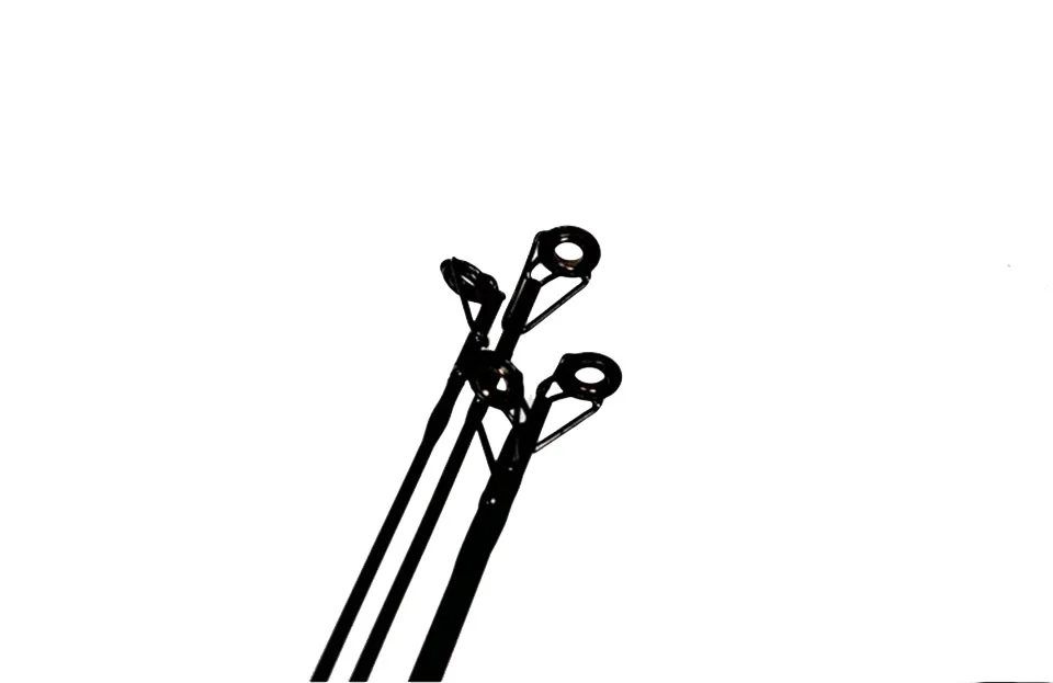 b (2)