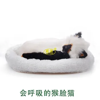 

Monkey face cat pampered petz pet mate breathing cat cute toy sleeping pet emulational mini vivid toy