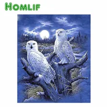 Алмаз живопись Сова 5d diy kit алмаз живопись пользовательские алмаз живопись полный квадратный алмаз ручка Энгель вышивка аксессуары