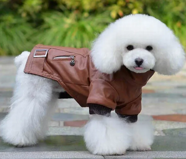 1pcs pet dog cat cool fashion jackets doggy leather sweaters puppy coats apparel dogs cats hoodies clothes pets products XS-XL