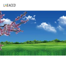 Laeacco Blue Sky Grassland Flowers Spring Photography Backgrounds Customized Photographic Backdrops For Photo Studio wppwdxen photography flowers under the blue sky print art