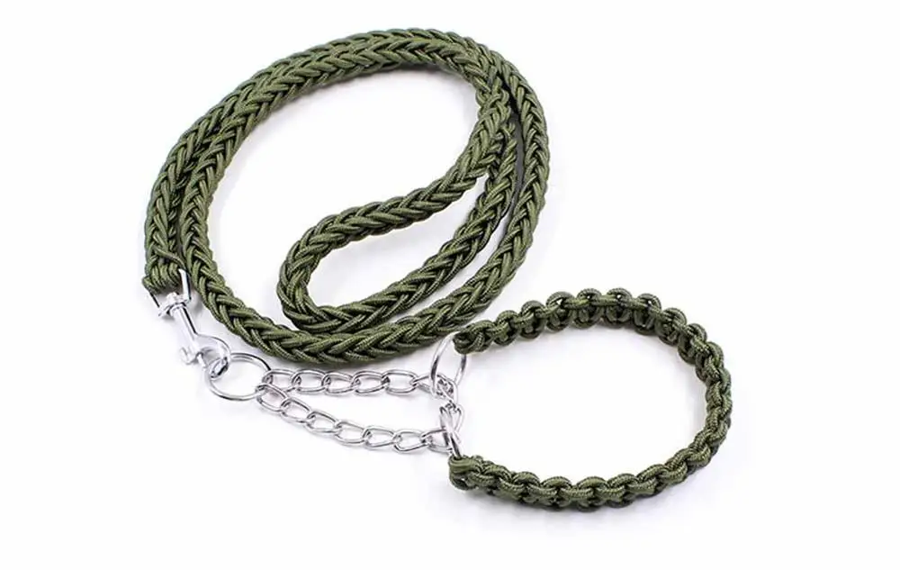 4 Collars, Harnesses & Leads