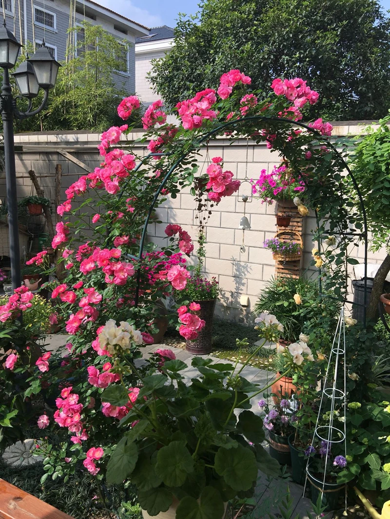 TB23CE8shhmpuFjSZFyXXcLdFXa_!!687086779