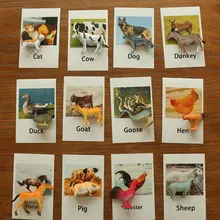 Montessori Infant Toys Poultry Animals Cards Learning Educational Toys for Toddlers Flash Card Juguetes Brinquedos YJ1244H Montessori Infant Toys Poultry Animals Cards Learning Educational Toys for Toddlers Flash Card Juguetes Brinquedos YJ1244H