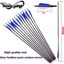 6/12/24PCS Pure Carbon Arrow Length 30 Inch Spine 300 Blue Turkish Feather for Recurve bow/Compound bow Hunting Archery 6/12/24PCS Pure Carbon Arrow Length 30 Inch Spine 300 Blue Turkish Feather for Recurve bow/Compound bow Hunting Archery