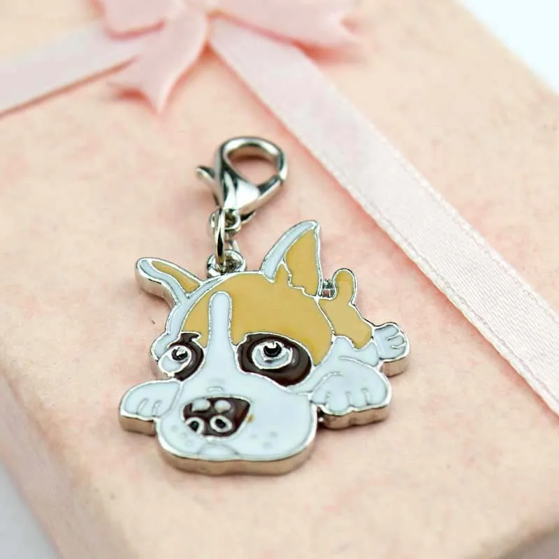 aeProduct.getSubject()