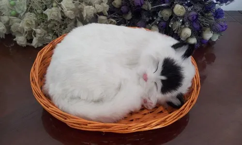 Simulation Breathing Cat With Basket Model 26x17cm White Cat With