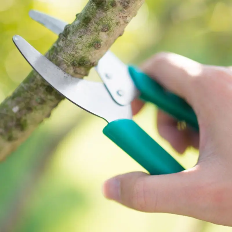 Ring Barking Tool Prunning Garden Fruit Tree Grape Shrub Orchard Girdling Knife Cutter Scissor Cherry