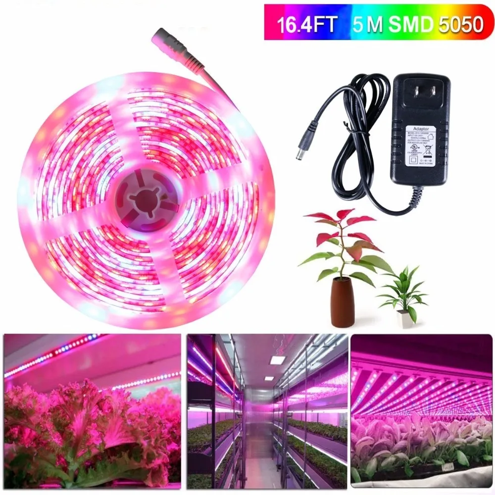 5 متر غير ماء الشريط بقيادة قطاع 5050 مصنع أدى النمو الاضواء dc12v تزايد النمو دي فيتا ضوء مجموعة مع محول