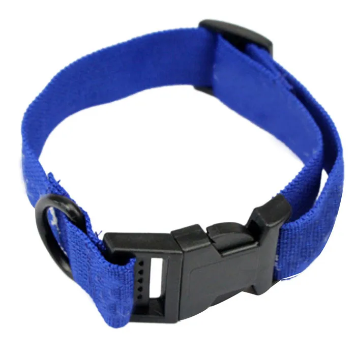 Dog Collar Fleas Circle In Addition To The Fleas Lap Dog With Fleas