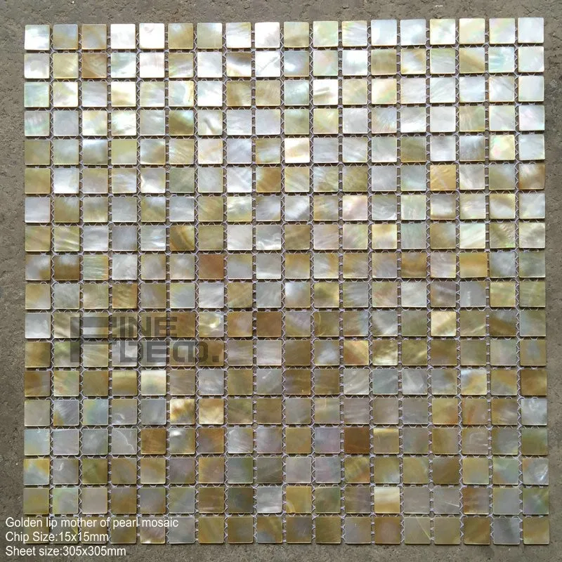 FD8002 golden lip mosaic 3