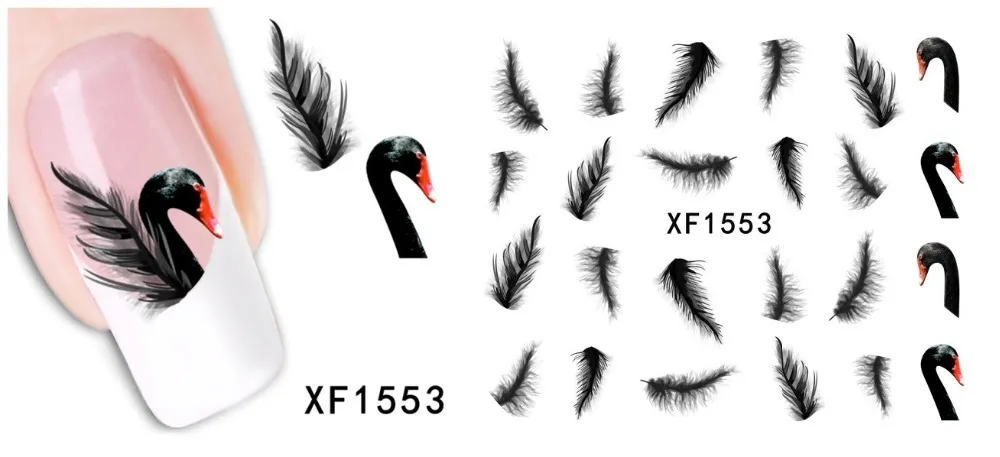 53