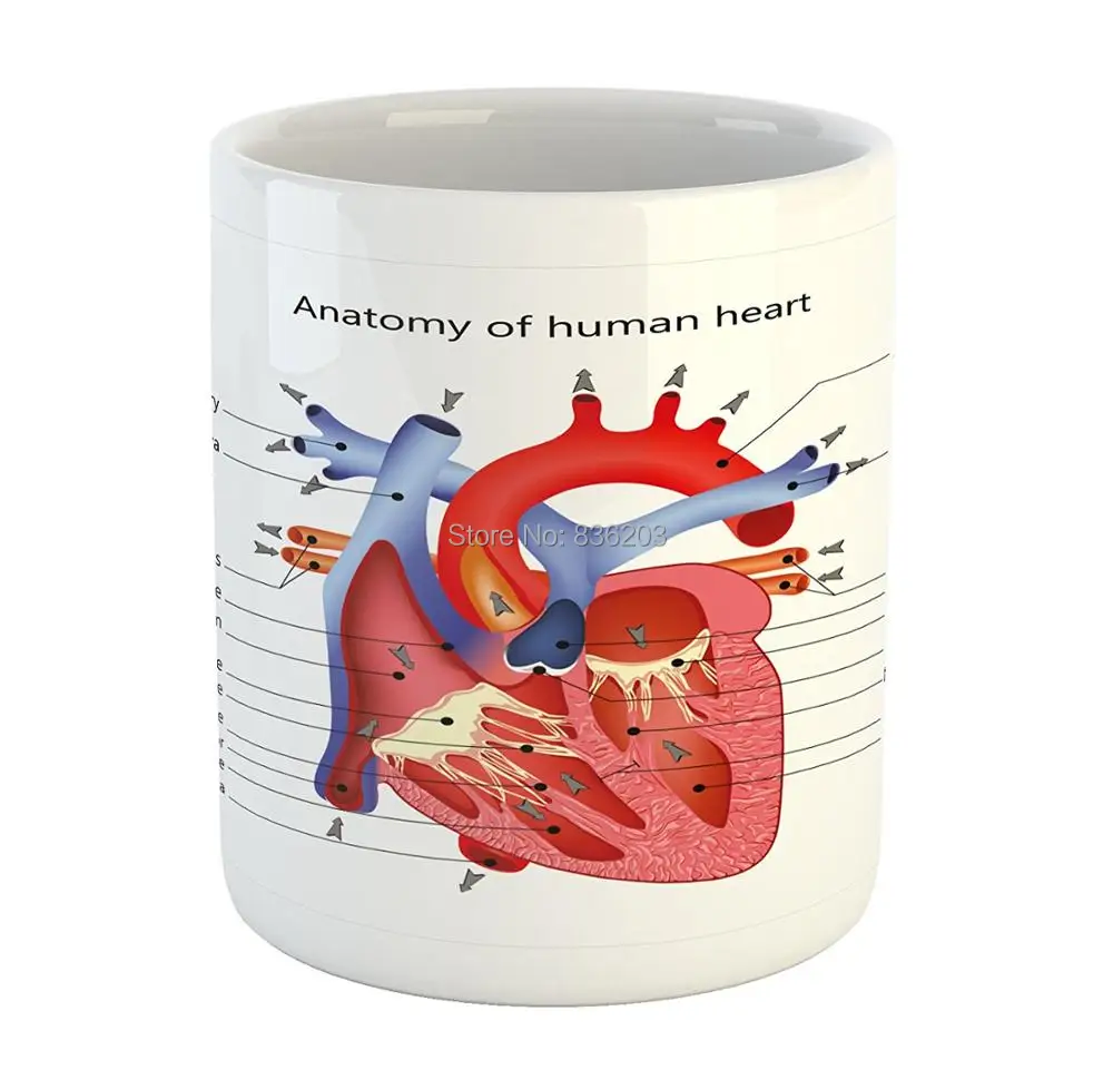 

traumatic pistol skeleton trauma medical instruments Printed Ceramic Coffee Mug Medical Structure of the Hearts Human Body Anat