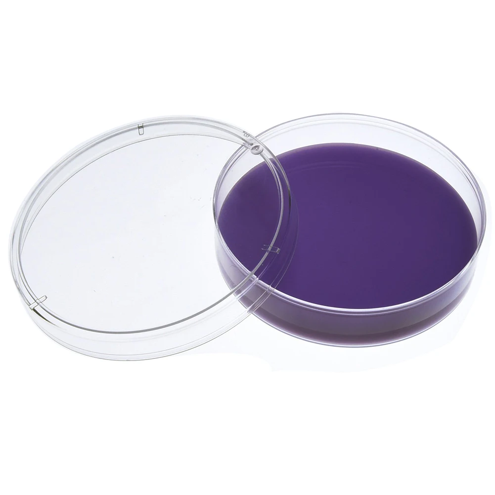 Пластиковая тарелка Петри Стерильная посуда с крышкой, 100 мм и 60 мм, 20 шт