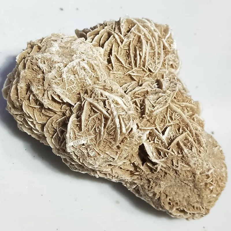 conew_img20190324152442