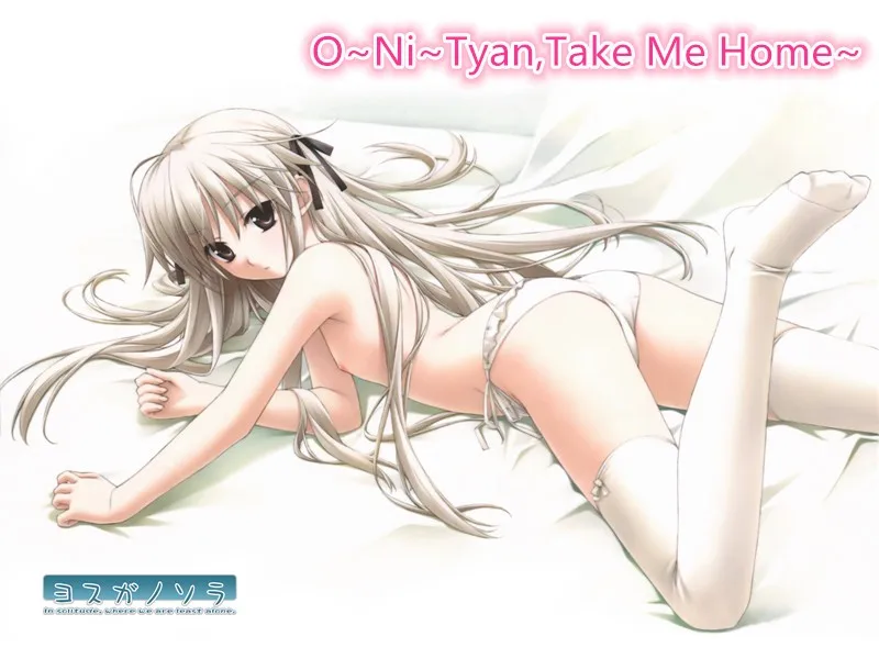 anime animation yosuga no sora  kasugano sora dakimakura pillow cushion  (1)