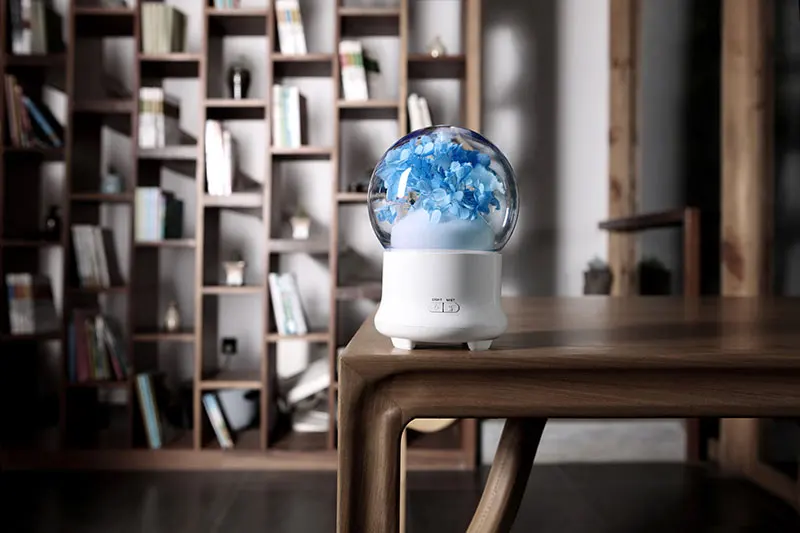 air humidifier (1)