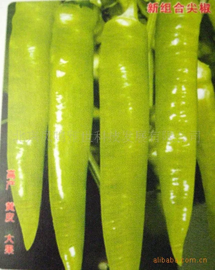 

Super-abundance pepper bonsais 200pcs Vegetable bonsais