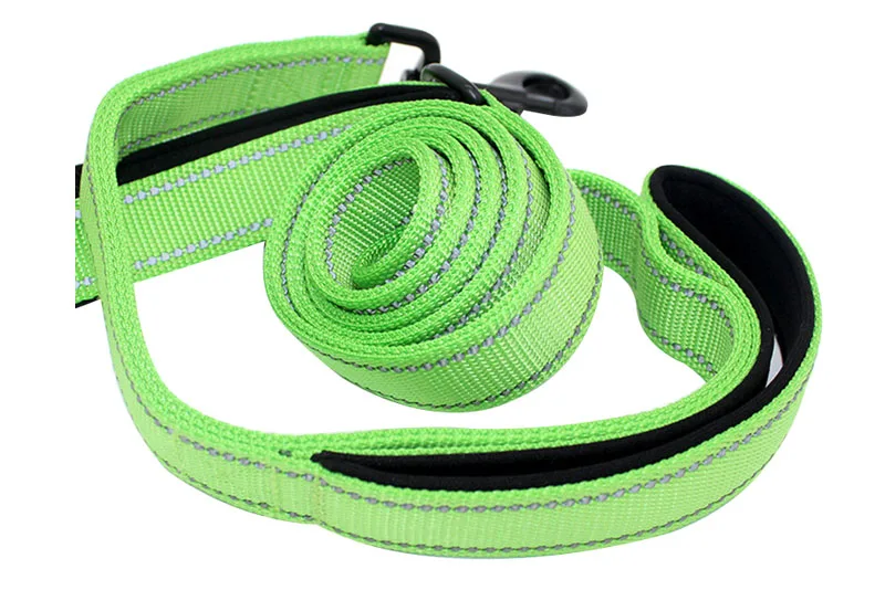 dog leash running