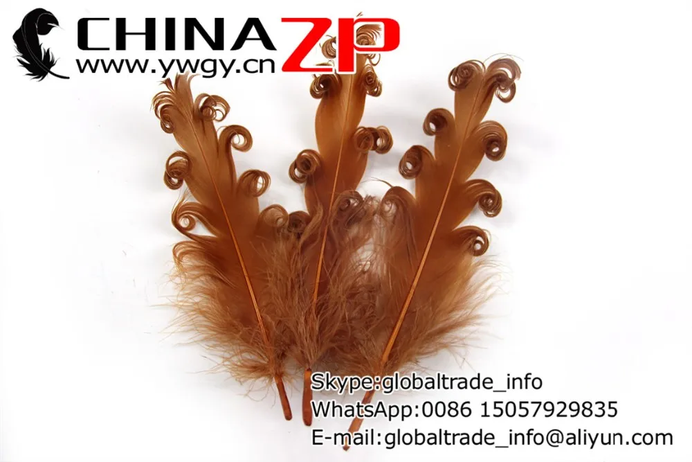 Nagorie Feathers Curled Goose Satinettes-Brown (5)