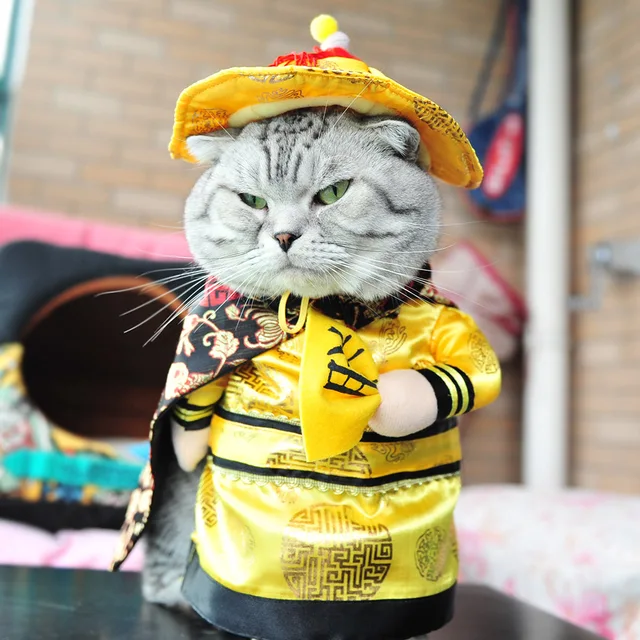 Funny Chinese Princess Cosplay Clothes For Cats Halloween Costume For Dogs Xmas Suit Cat Clothing Dog Outfit Pet Apparel